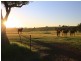 93 Luskintyre Road, Luskintyre NSW 2321