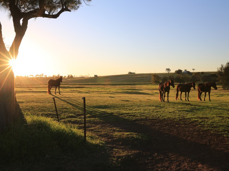 93 Luskintyre Road, Luskintyre NSW 2321