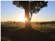 93 Luskintyre Road, Luskintyre NSW 2321