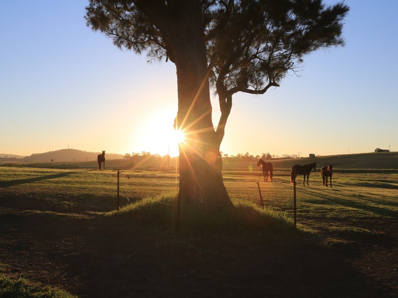 93 Luskintyre Road, Luskintyre NSW 2321