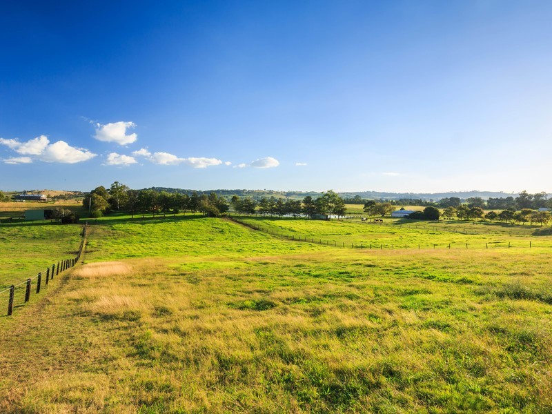 93 Luskintyre Road, Luskintyre NSW 2321
