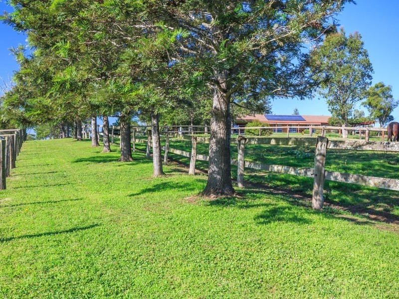 93 Luskintyre Road, Luskintyre NSW 2321