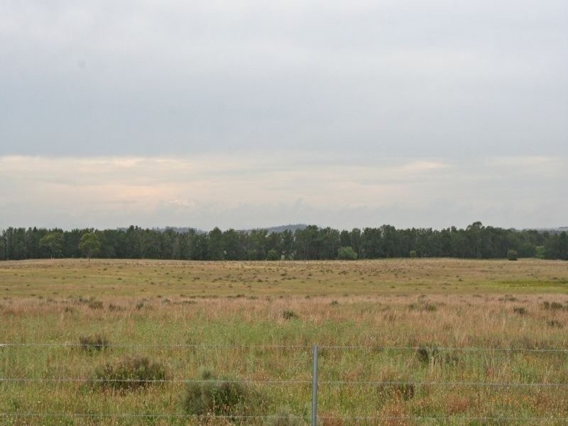 155 Milbrodale Road, Broke NSW 2330