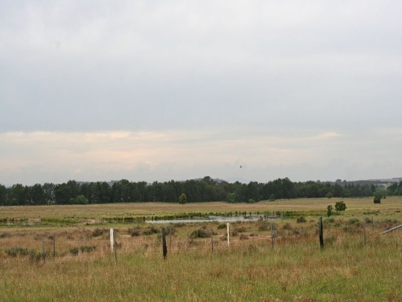 155 Milbrodale Road, Broke NSW 2330