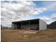 155 Milbrodale Road, Broke NSW 2330