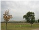 155 Milbrodale Road, Broke NSW 2330