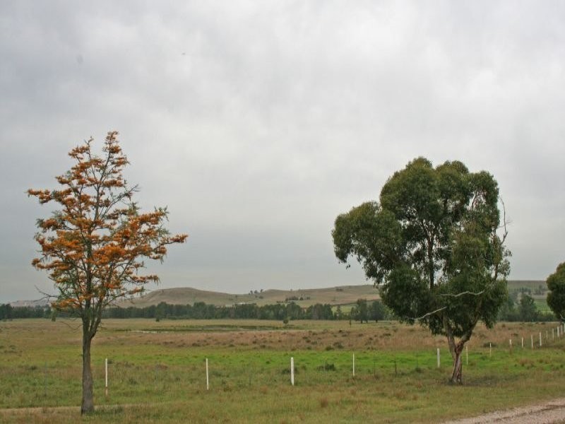 155 Milbrodale Road, Broke NSW 2330