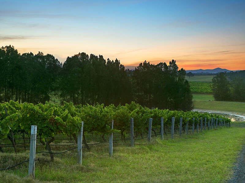 78 Old North Road, Pokolbin NSW 2320