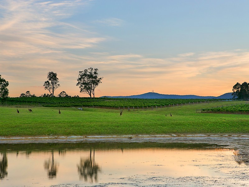 78 Old North Road, Pokolbin NSW 2320