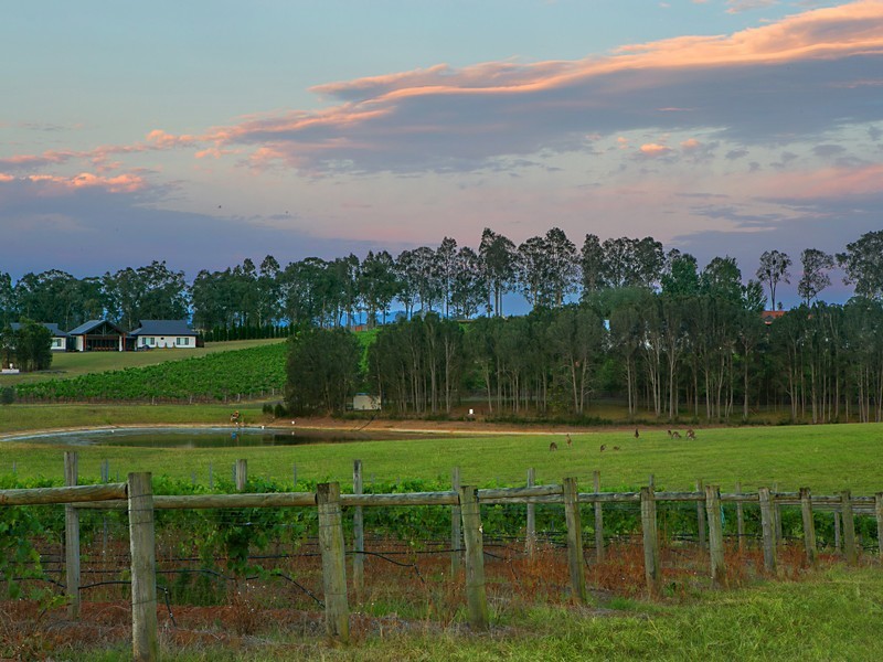 78 Old North Road, Pokolbin NSW 2320