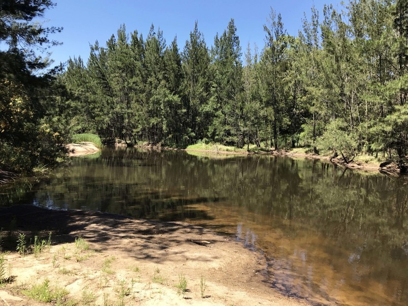 1076 Wollombi Road, Broke NSW 2330