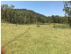 1076 Wollombi Road, Broke NSW 2330