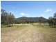 1076 Wollombi Road, Broke NSW 2330