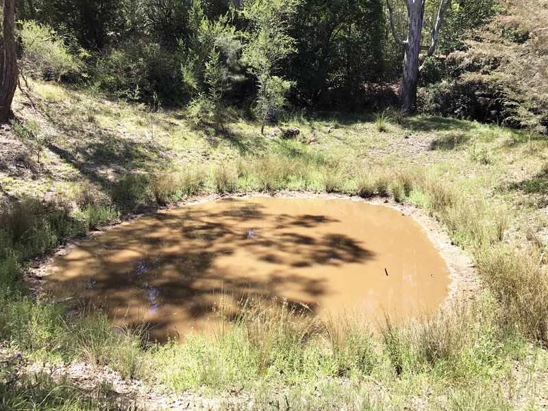 1076 Wollombi Road, Broke NSW 2330