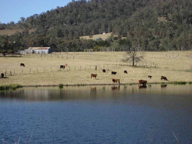 Lot 15 Wollombi Road, Broke NSW 2330