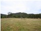 Lot 15 Wollombi Road, Broke NSW 2330