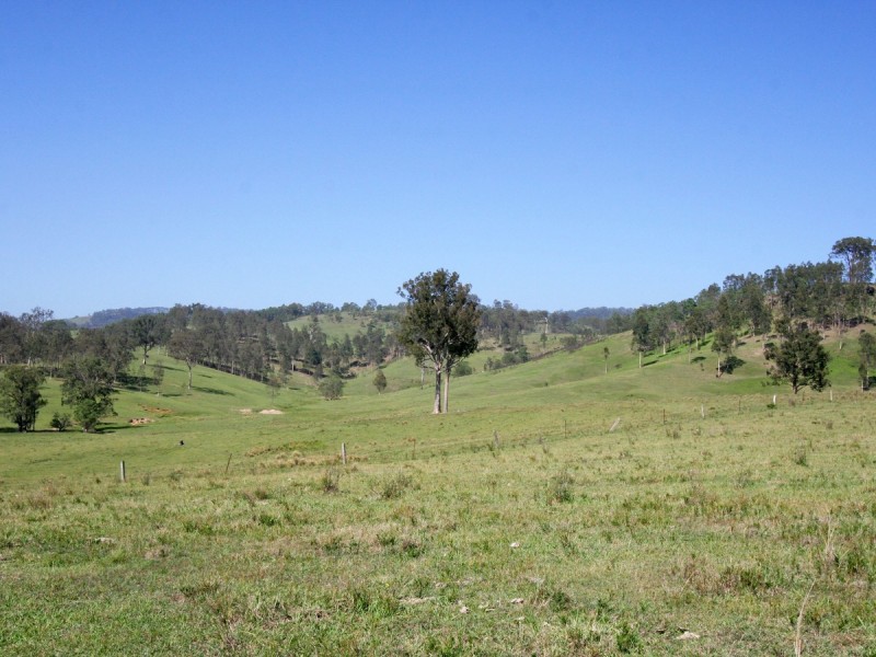 Dungog NSW 2420