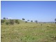 Dungog NSW 2420