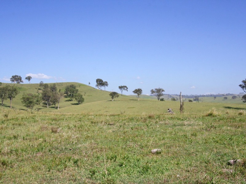 Dungog NSW 2420