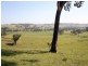 Dungog NSW 2420