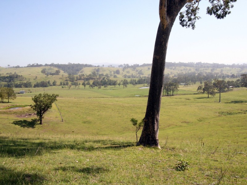 Dungog NSW 2420
