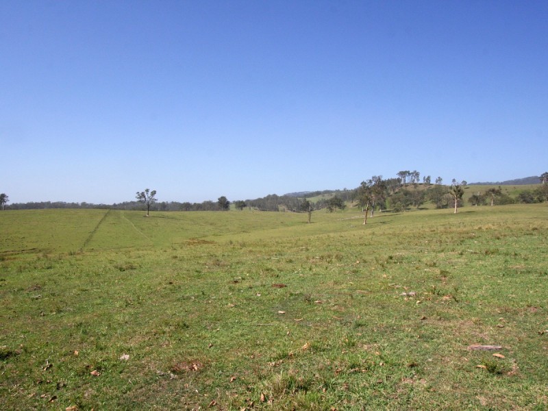 Dungog NSW 2420