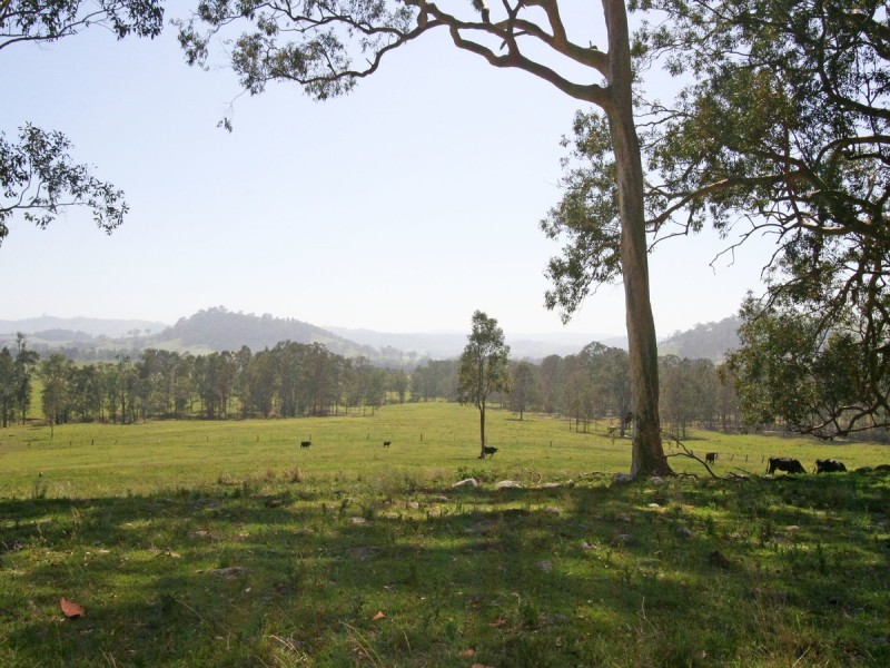 Dungog NSW 2420