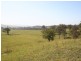 Dungog NSW 2420
