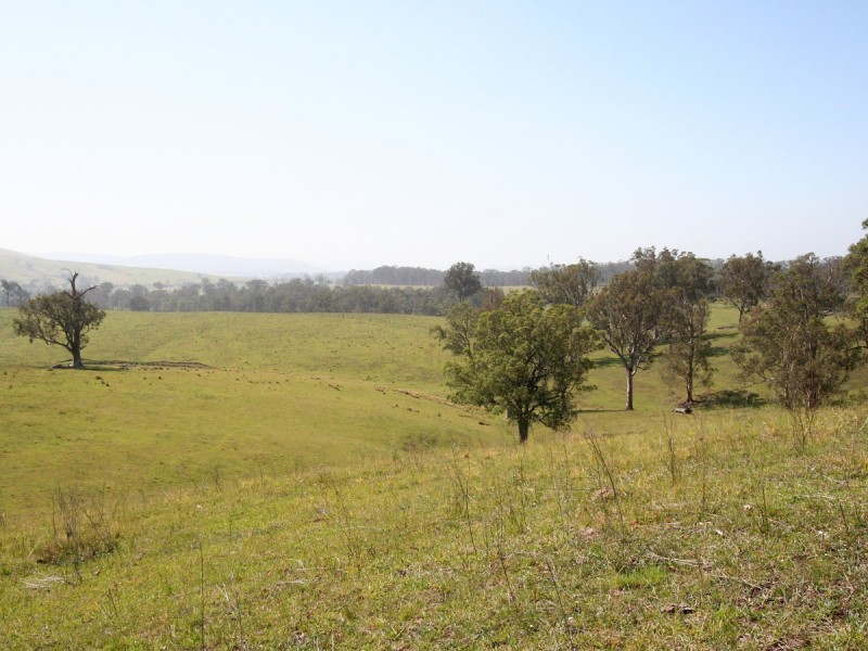 Dungog NSW 2420
