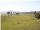 Dungog NSW 2420