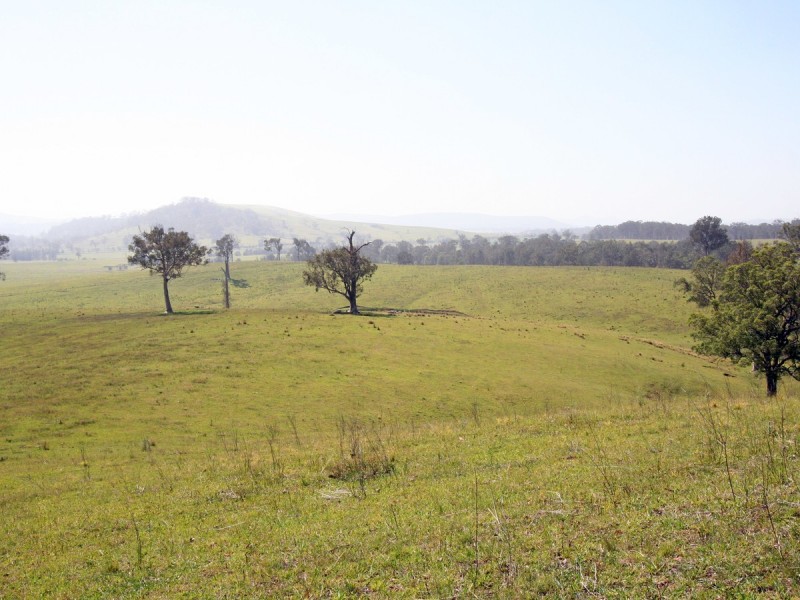 Dungog NSW 2420