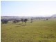 Dungog NSW 2420