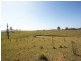 Dungog NSW 2420