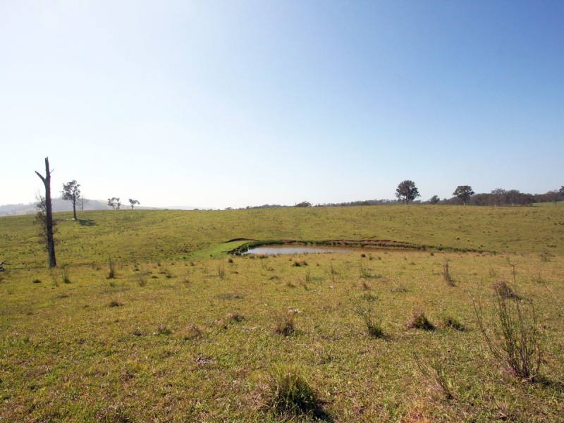 Dungog NSW 2420