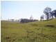 Dungog NSW 2420