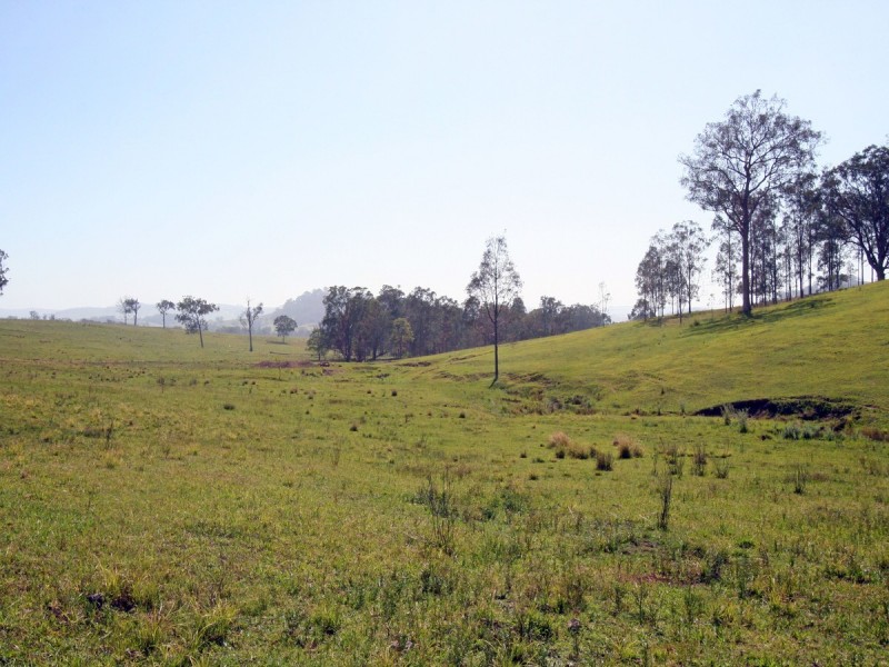 Dungog NSW 2420