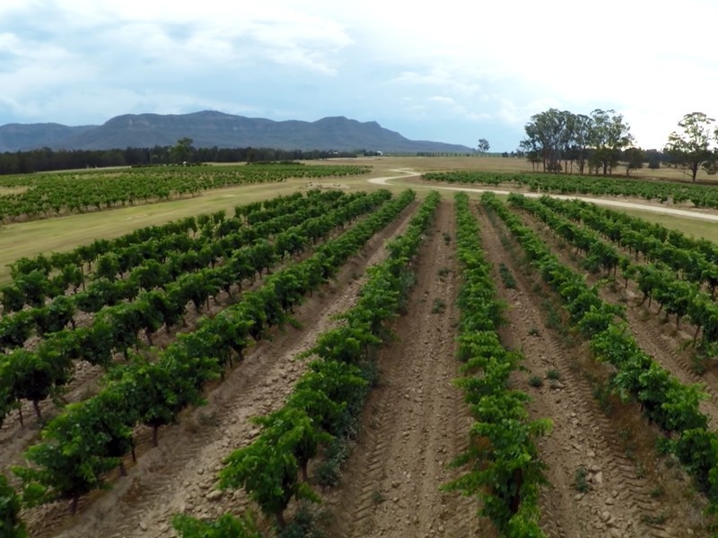 Lot 1 Deaseys Road, Pokolbin NSW 2320