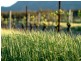 Lot 1 Deaseys Road, Pokolbin NSW 2320