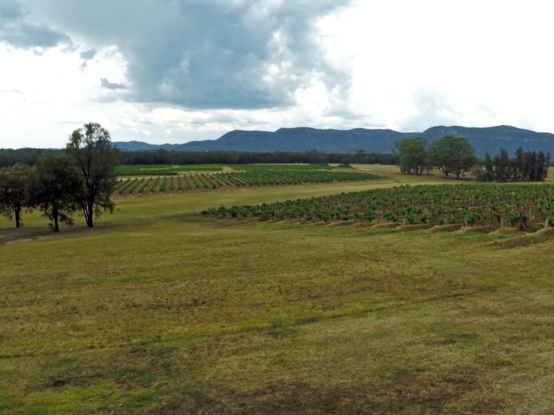 Lot 1 Deaseys Road, Pokolbin NSW 2320