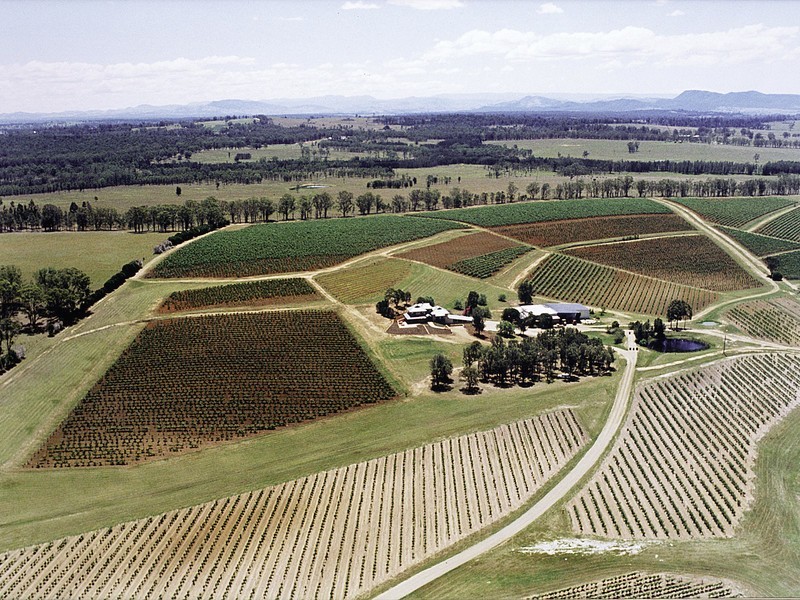 Lot 1 Deaseys Road, Pokolbin NSW 2320