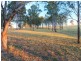 40 Mistletoe Lane, Pokolbin NSW 2320