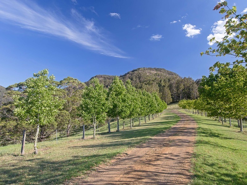 Mount Vincent NSW 2323