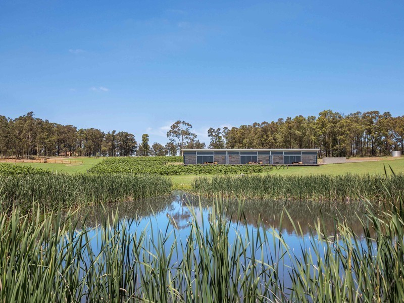 385 Palmers Lane, Pokolbin NSW 2320