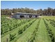 385 Palmers Lane, Pokolbin NSW 2320
