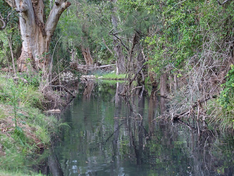 221 Blue Bonnet Road, Lambs Valley NSW 2335