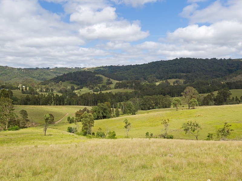 221 Blue Bonnet Road, Lambs Valley NSW 2335