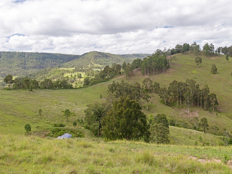 221 Blue Bonnet Road, Lambs Valley NSW 2335