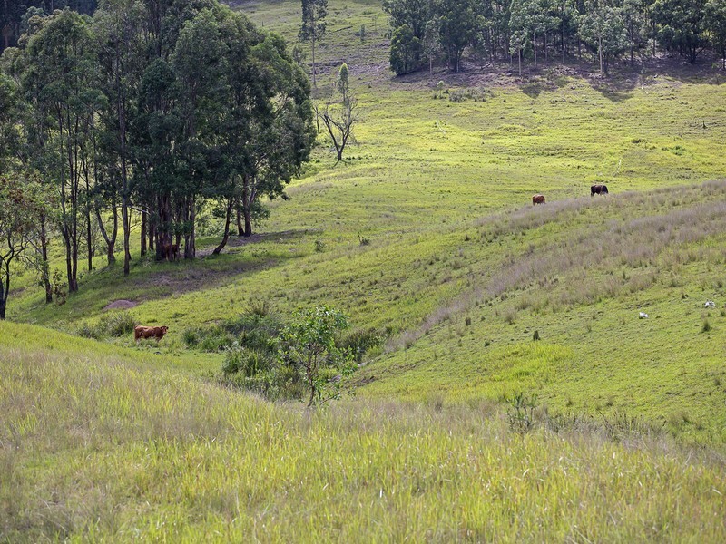 221 Blue Bonnet Road, Lambs Valley NSW 2335