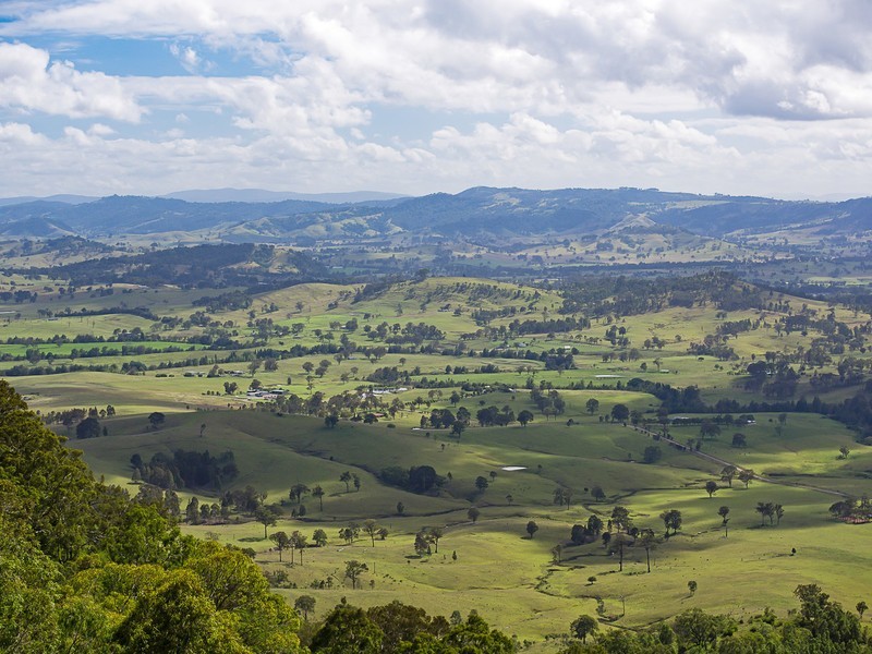 221 Blue Bonnet Road, Lambs Valley NSW 2335