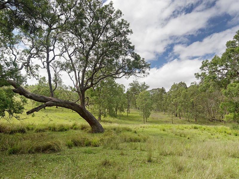 221 Blue Bonnet Road, Lambs Valley NSW 2335